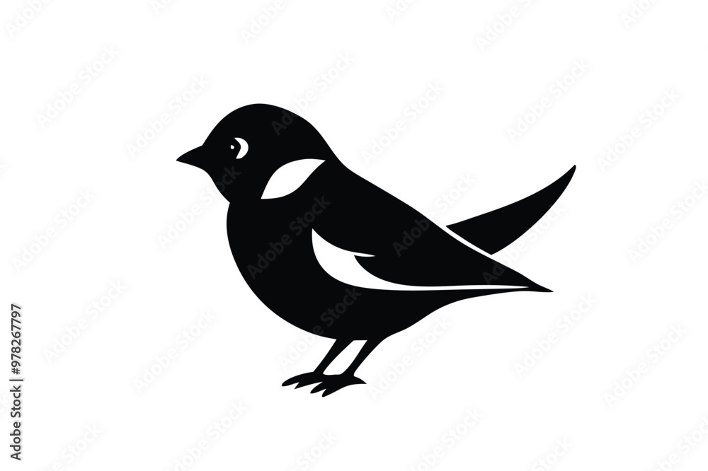 Magpie Robin vector art and illustration Magpie Robin vector art and illustration