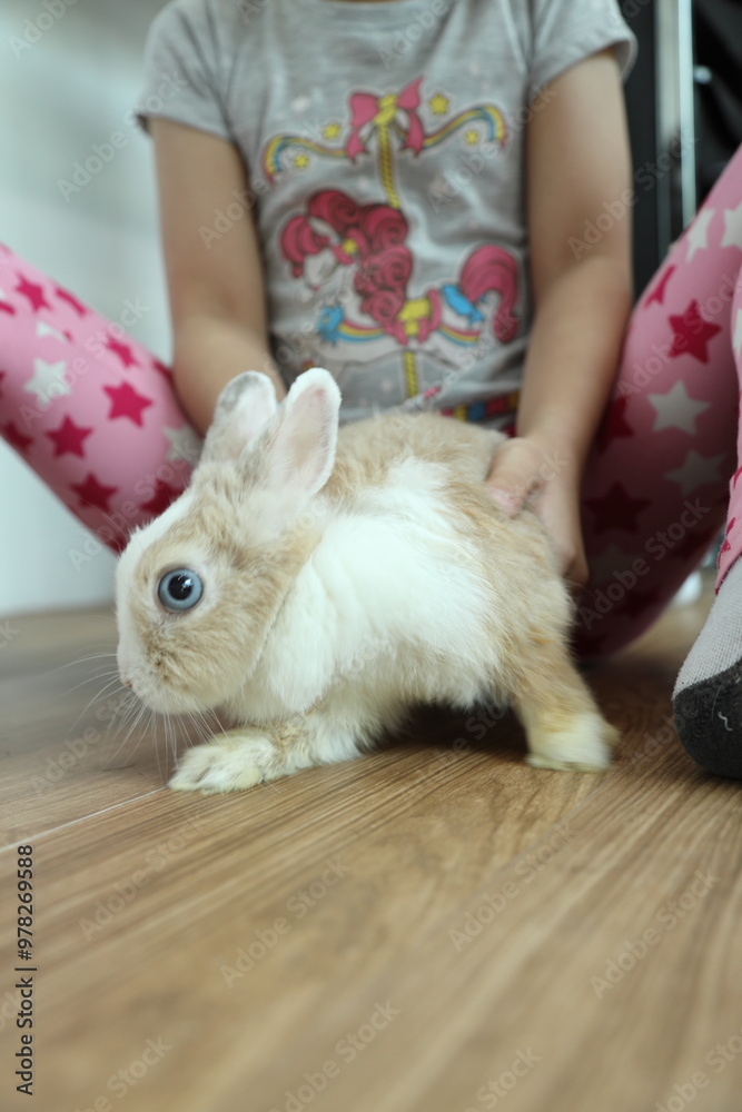 Obraz premium Cute Young Rabbit