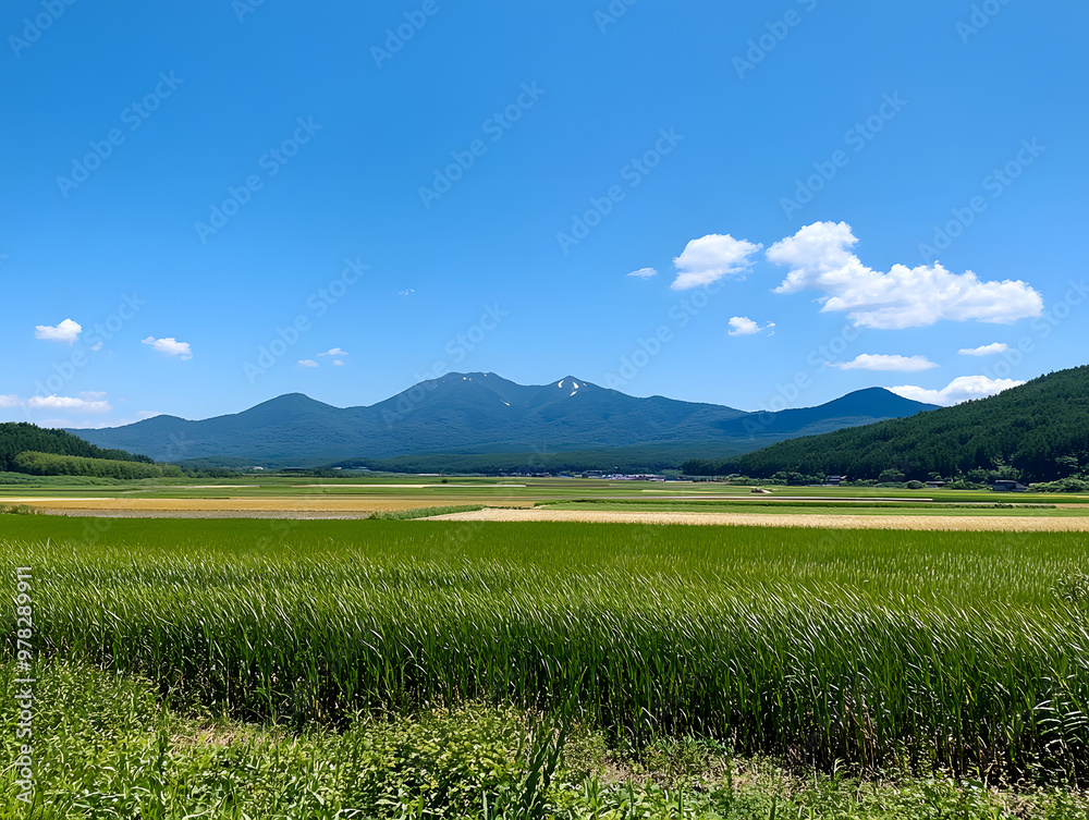 Fototapeta premium 7大自然の田舎の大空とファームなどの全景色generative ai