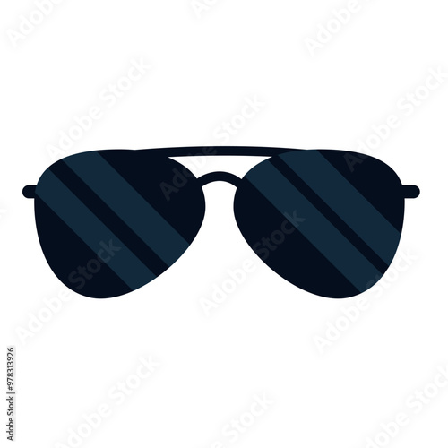police sunglasses accessory