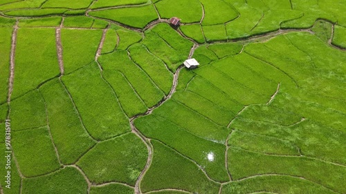 Aerial view of Green Terraces rice field, a beautiful natural beauty on mountain in Nan Khun Nan Rice Terraces,Boklua Nan Province, Thailand photo