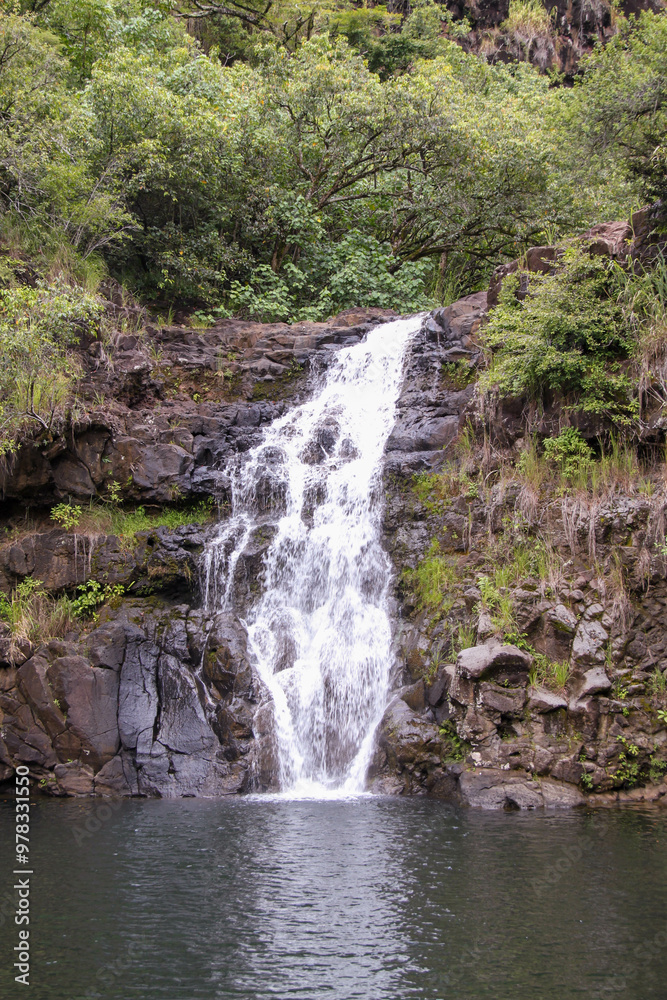 Fototapeta premium Waimea Falls Hawaii Waterfall Oahu
