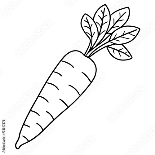 Carrot line art vector illustration 