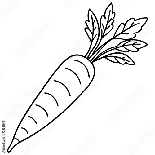 Carrot line art vector illustration 