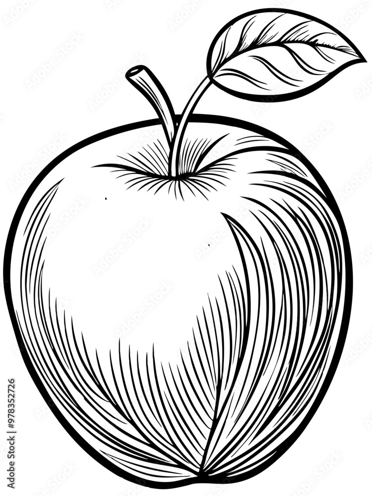 Apple with a leaf line art vector Apple with a leaf line art vector