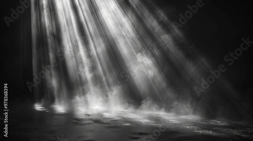 waterfall in the forest