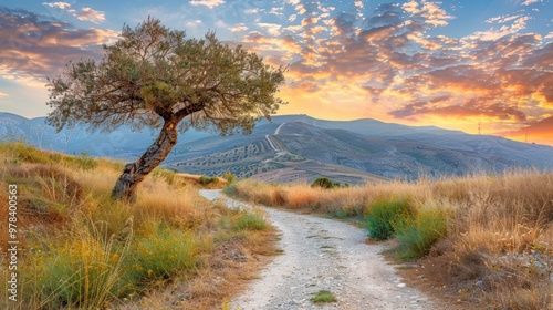 Sunrise over Rolling Hills with a Winding Road