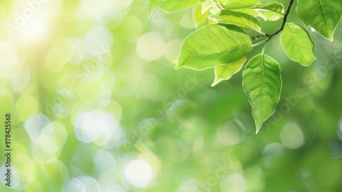 Vibrant Green Leaf Against Blurred Greenery, A detailed close-up showcasing a lush green leaf illuminated by sunlight, surrounded by a soft, dreamy bokeh effect, perfect for nature themes.