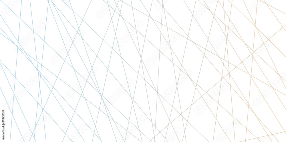 Abstract lines in black and white tone of many squares and rectangle shapes on white background. Metal grid isolated on the white background. nervures grey abstract perspective Random chaotic .
Abstract lines in black and white tone of many squares and rectangle shapes on white background. Metal grid isolated on the white background. nervures grey abstract perspective Random chaotic .