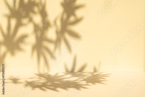 Wallpaper Mural Wall interior background, studio and backdrops show products. with leaf shadow from window color beige and white. background for text insertion and presentation of product Torontodigital.ca
