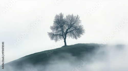A serene misty hillside with a lone tree, surrounded by soft fog, evoking a peaceful and dreamlike atmosphere. photo
