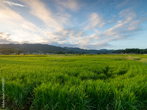 奈良県の明日香村に広がる田園風景