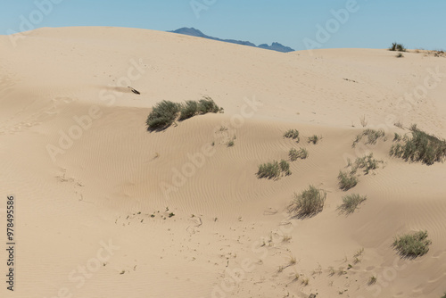 Fototapeta Naklejka Na Ścianę i Meble -  Photography without people wavy sand dunes in the Samalayuca desert, where on the horizon there are hills and mountains under a bright sky