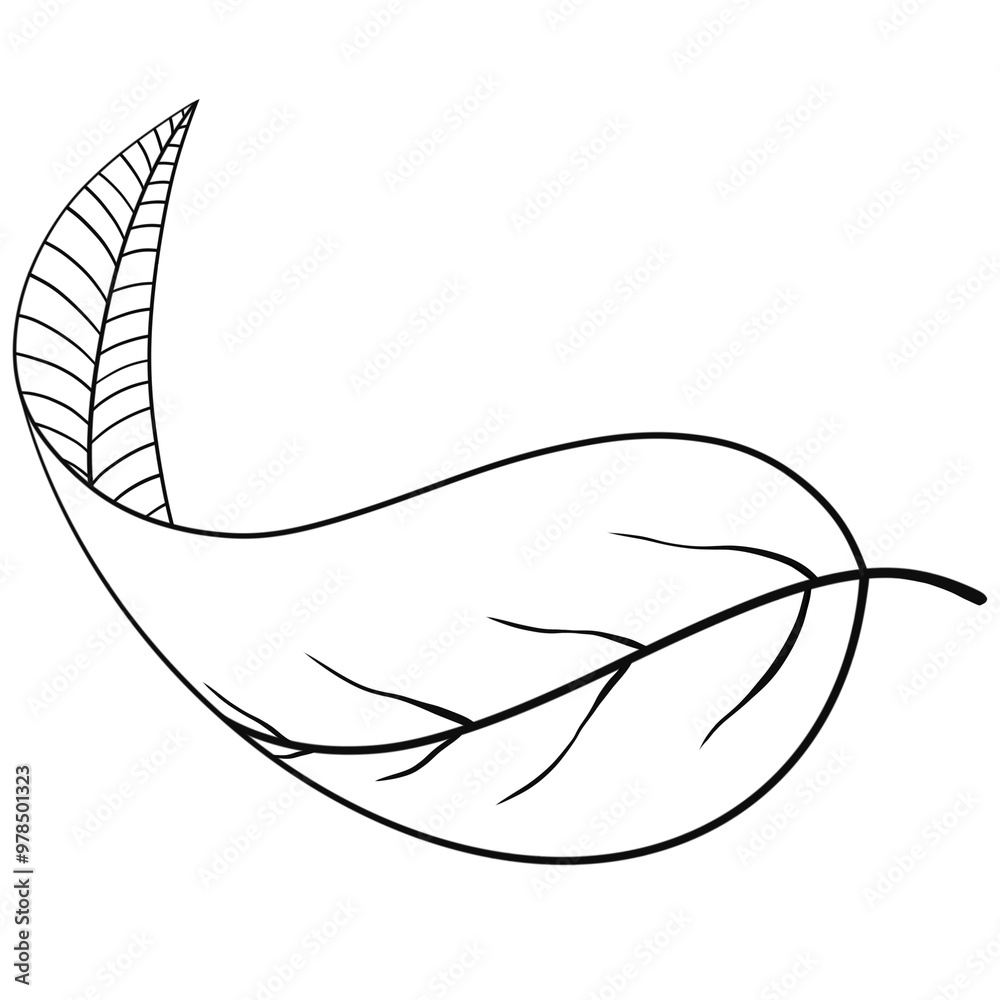 Obraz premium Hand drawn leaf illustration 