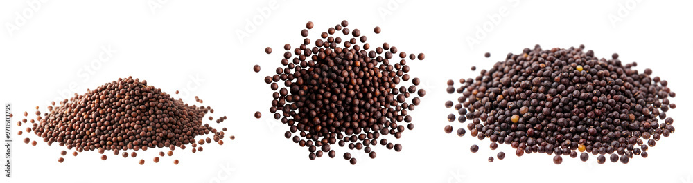 Three distinct piles of mustard seeds showcasing various sizes and textures on a clean white background. Three distinct piles of mustard seeds showcasing various sizes and textures on a clean white background.
