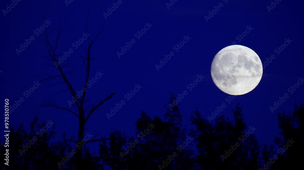 Stunning Supermoon Rising on the Horizon on September 16
