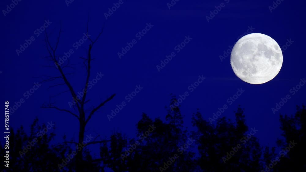 Stunning Supermoon Rising on the Horizon on September 16
Stunning Supermoon Rising on the Horizon on September 16