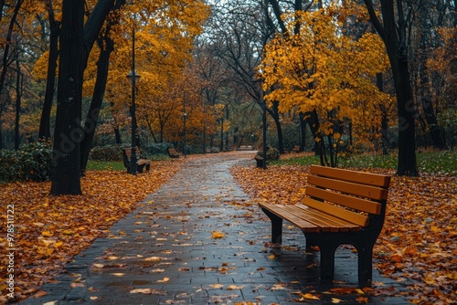 Empty benches standing on a path covered by fallen leaves in autumn