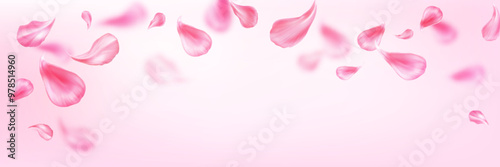 Pastel background with pink flower petal for spring time and spa service design. Realistic 3d vector falling and flying rose or sakura blossom leaves. Floral bloom elements for romantic concept.