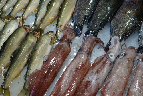 Aquatic food. photo