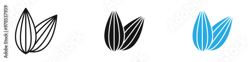 Almond icon thin line illustration