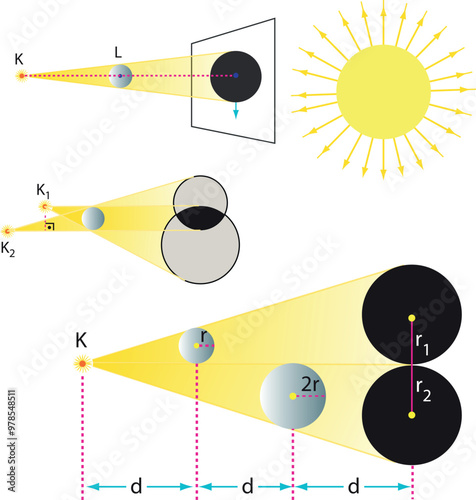 Optics, reflection lesson forms, Light Reflection infographic diagram with example of light source where incoming rays reflected on a smooth shiny mirror surface for physics science education