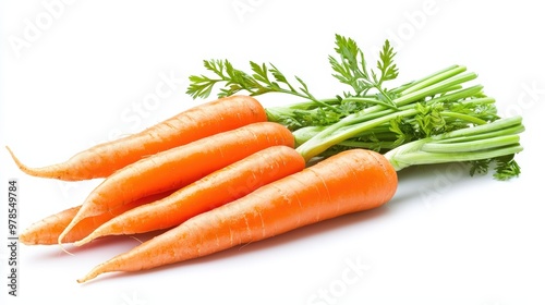 Freshly Harvested Bunch of Vibrant Carrots with Green Tops on White Background
