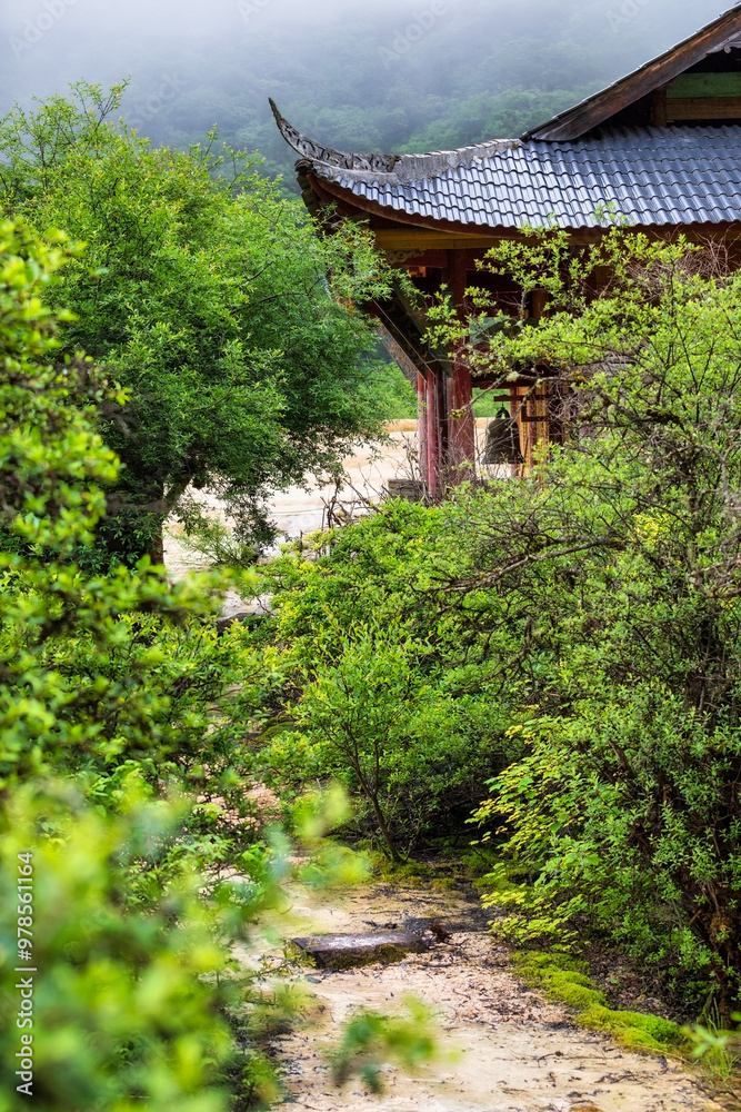 Pathway Through Greenery to Traditional Temple in Huanglong Pathway Through Greenery to Traditional Temple in Huanglong