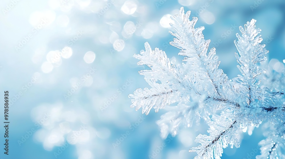 Light Blue Winter Background : Generative AI Light Blue Winter Background : Generative AI