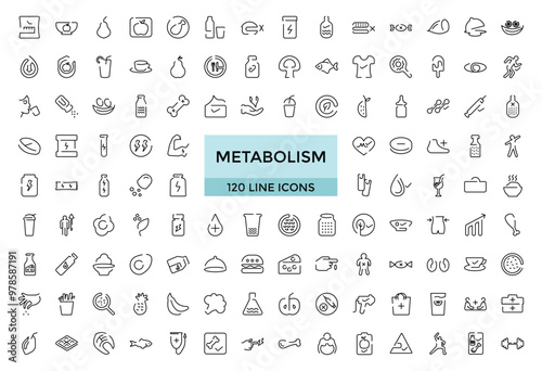 Metabolism icons collections outline vector. Torso health. Detox balance and more, Outline icon set. Editable Thin icon vector collections.