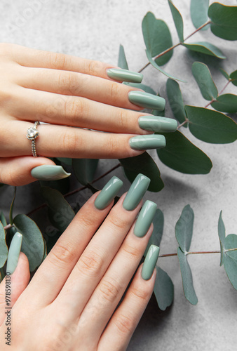 Stylish green manicure displayed alongside fresh eucalyptus leaves on a neutral surface in natural light