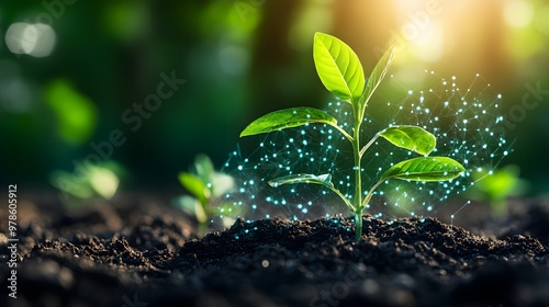 Young plant growing from soil, with data holograms in the background representing business success under bright sunlight.