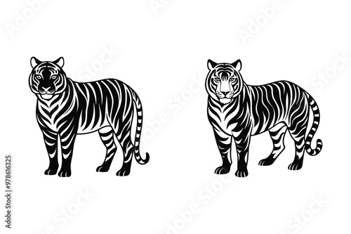 set of Bengal Tiger illustration