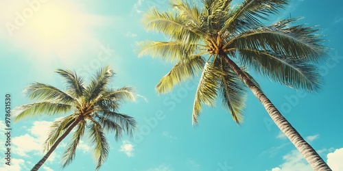 Palm Trees Against a Blue Sky