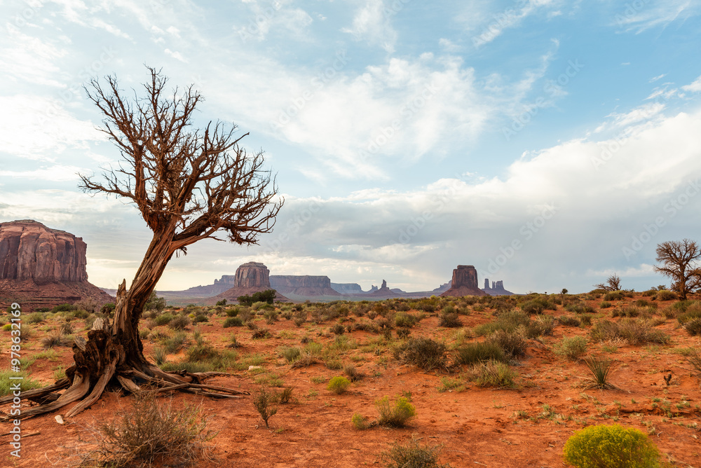 Weathered tree in Monument Valley with iconic red rock formations Weathered tree in Monument Valley with iconic red rock formations