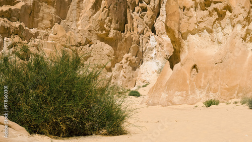 high rocky mountains and green bush in the canyon in Egypt Dahab South Sinai