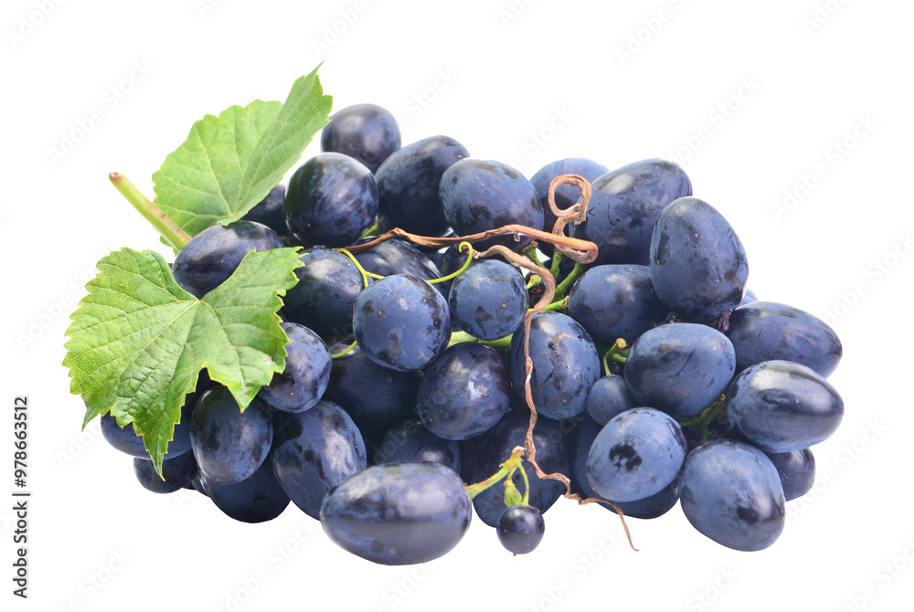 Fototapeta premium Grapes isolated on white