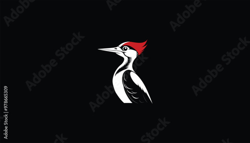 Ivory-Billed Woodpecker, Circular Design, Black Background, White Outline, Rare Bird Illustration, Detailed Wildlife Art