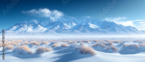 Snow-covered mountain range with a foreground of frosted grass and a blue sky. photo