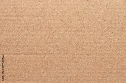 Wallpaper Mural Brown cardboard sheet abstract background, texture of recycle paper box in old vintage pattern for design art work. Torontodigital.ca