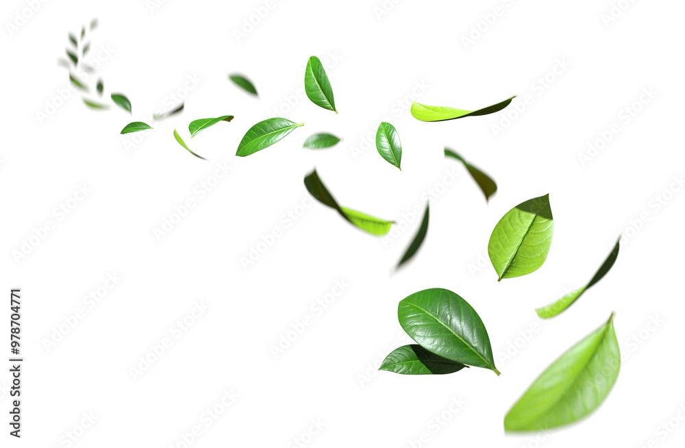 Refreshing eco leaves flying cutout transparent backgrounds 3d render png Refreshing eco leaves flying cutout transparent backgrounds 3d render png