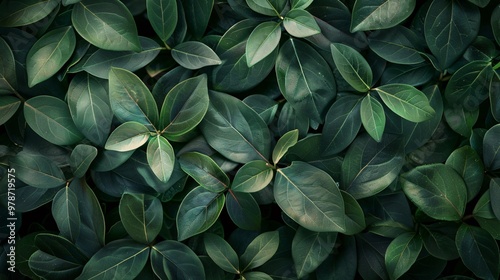 Abstract leaves in the background, a pattern that showcases nature's design. Bright green decoration, a representation of plant life.