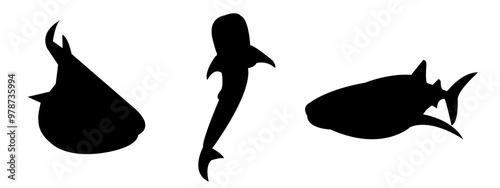 Whale shark silhouette set collection. isolated black on white background. sea, animal. vector illustration.