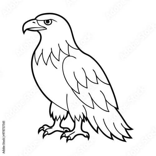 eagle isolated on white background