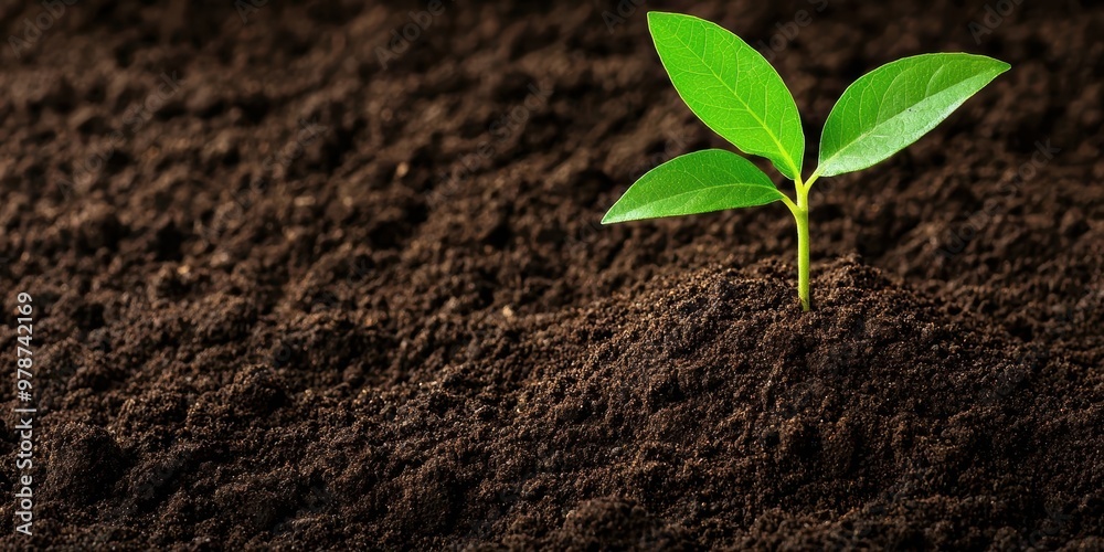 Naklejka premium A vibrant green seedling emerges from rich, dark soil, symbolizing growth, vitality, and the potential for new beginnings.