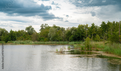 Biodiversity Haff Reimech, wetland and nature reserve in Luxembourg, pond surrounded by reed and trees, bird watching observation point