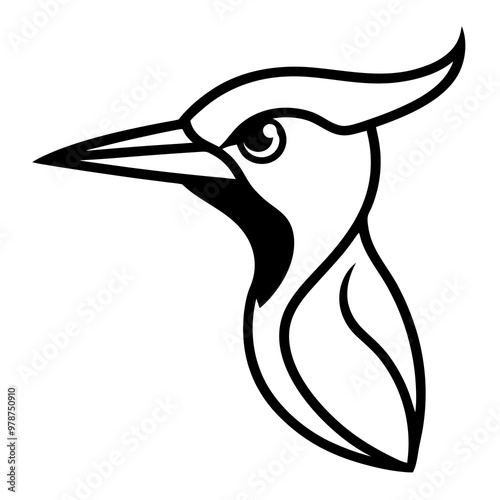 illustration of a bird photo