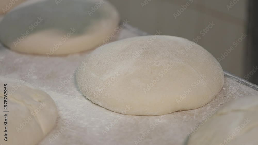 The process of making bread in a bakery. After proofing, the top of the bread is cut with knife. The process of making bread in a bakery. After proofing, the top of the bread is cut with knife.