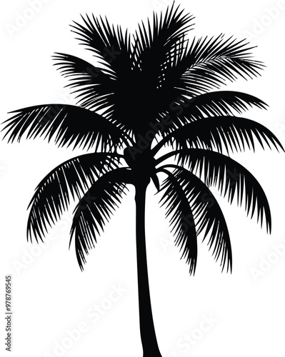 Palm Tree Vector art