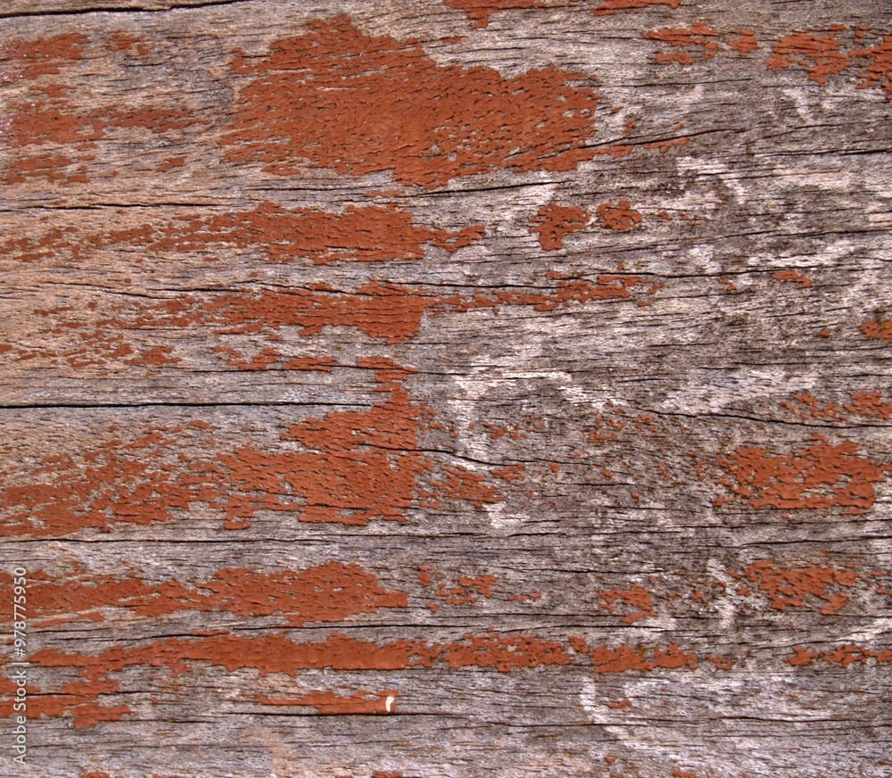 Obraz premium Old wooden structure -Texture